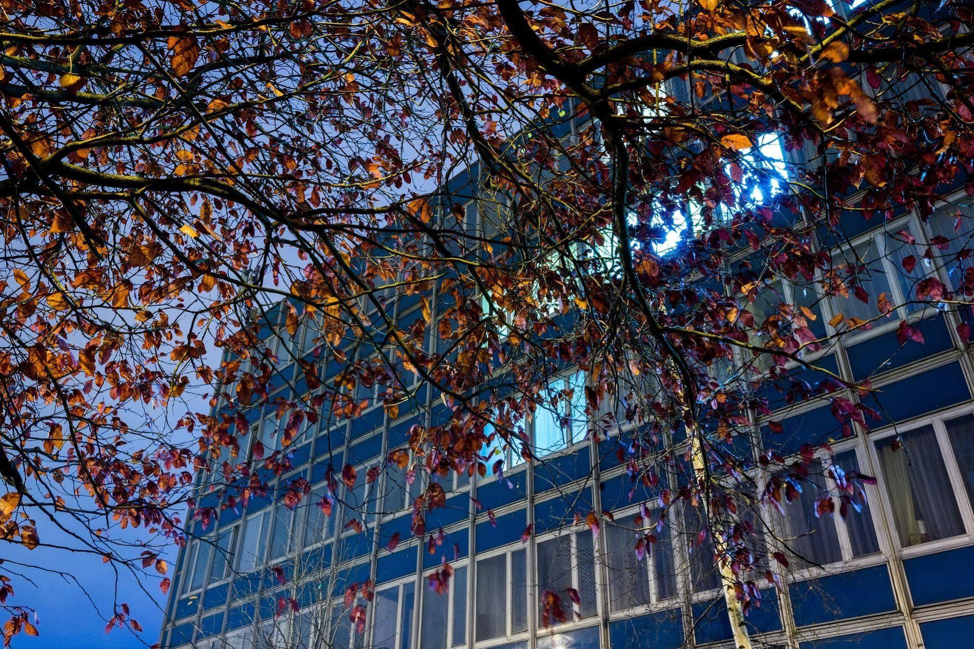 Dom Turystyczny Indigo Hostel Krasków Exterior foto